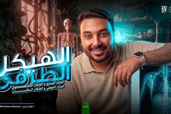 المحاضرة رقم 3: شرح الهيكل الطرفي الحزام الصدري والحوضي والاطراف