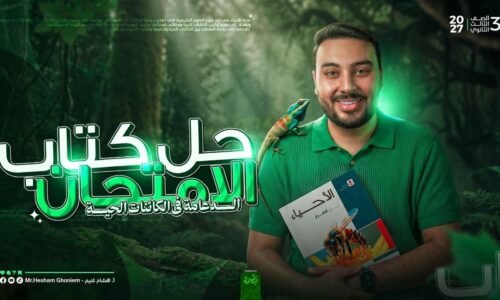 الصورة المصغرة للدورة