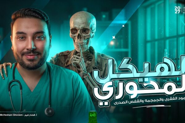 المحاضرة الثانية الدعامة في الإنسان الجهاز الهيكلي – الهيكل المحوري